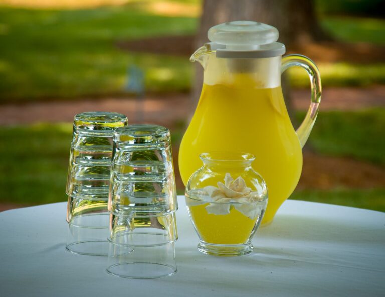 Boissons maison fraîches et sans sucre pour l&rsquo;été