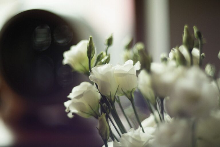 Roses blanches délicates